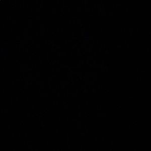 Meet your Posher, Chloe